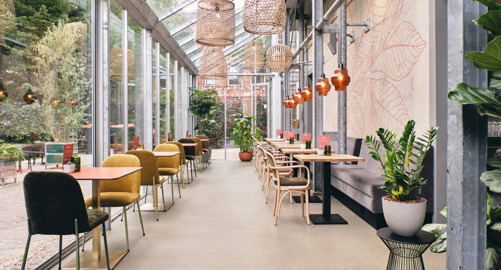 hortusbotanicusleiden4.jpg